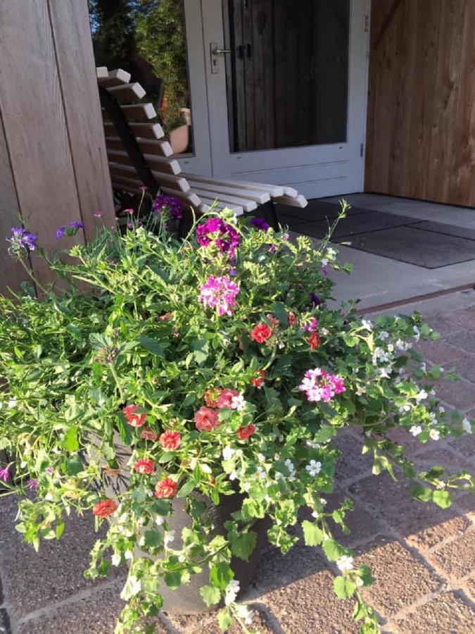 Erve Toon'Boer Bed and Breakfast Mander Eksteriør billede